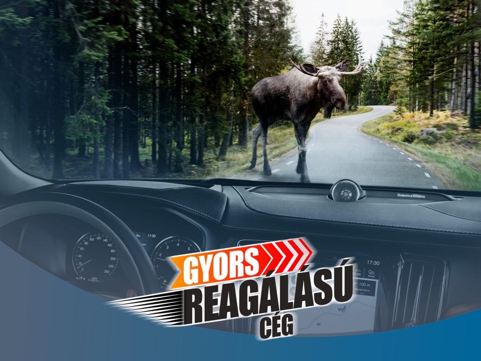 Hánnyal veszi a céged a Jávorszarvas tesztet?